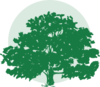 Liberty Hill Dental