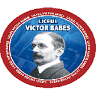 Liceul Teoretic „Victor Babeș”