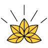 Lichtblick GmbH