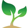 Lifetime Realty Pty Ltd