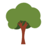 Lifetree Community Church