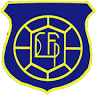 Liga de Futbol Punilla