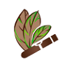 Ligero Tobacco House