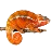 Light Your Reptiles