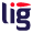 LIG Veículos Elétricos