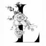 LILIA Flower Boutique