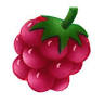 Lilou Framboise
