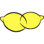 La Limonaia