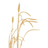 Lincoln Family Funeral Care