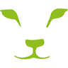 Lion Finance