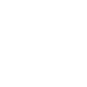 Lion Capital Group