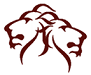 Calzature Lions Di E.Angiolin & C. S.A.S.