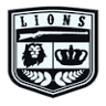 Lions Not Sheep