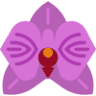 Lisa B and Company Day Spa