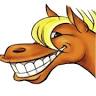 Lisa's Equine Laundry
