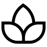 Liscio