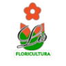 Lis Floricultura