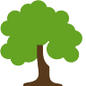 Little Tree - Cursuri engleza copii