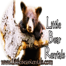 Little Bear Rentals