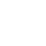 Little Burger LS