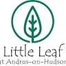 Little Leaf Preschool at Teatown Lake Reservation