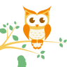 Little Owls Day Nursery