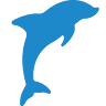 Little Toot Dolphin Adventure