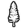Little Tree Gas
