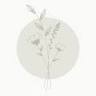 Little White Candle