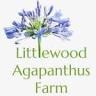 Littlewood Farm