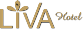 My Liva Hotel - Kayseri