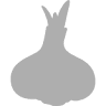 Līvānu ķiploks