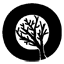 LiveOaks
