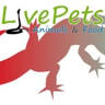 Livepets I Pet Shop
