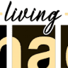 Mac System S.R.L.
