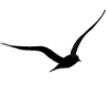 Livingston Aviation Inc