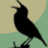 Birds of Livingston County