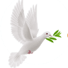 Living Waters Community Church