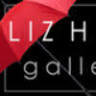 Liz Hess Gallery