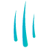 LlumStetic