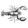 LOBSTER AND MôR