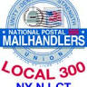 Npmhu Local 300