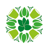 Löschau Dekoration, Blumen und Pflanzen, Raumbegrünung,Hydrokulturen