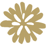 Löwenzahn