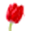 Lola Flores