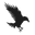 Lone Crow Ranch