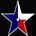 Lone Star Realty
