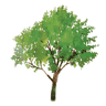 Lone Tree Family Practice | OnPoint Medical Group