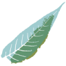Longleaf Dental