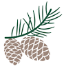 LONGLEAF ENVIRONMENTAL CONSULTING